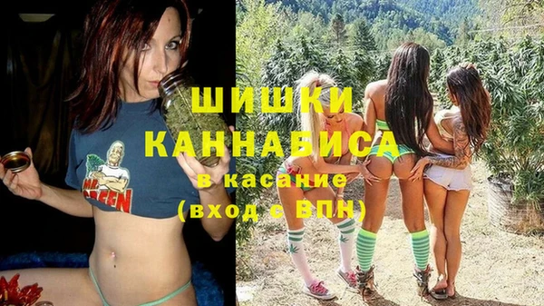 дживик Беломорск
