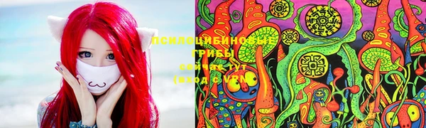 дживик Беломорск